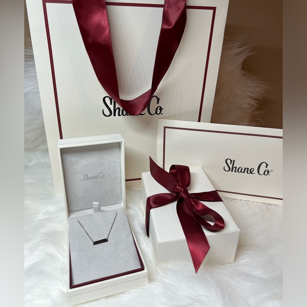 Necklace in 14K White Gold